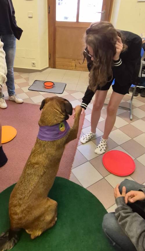 Therapiehund_3_original